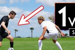 关于蒂姆遭遇十五连败，澳大利亚队教练面临压力！的信息