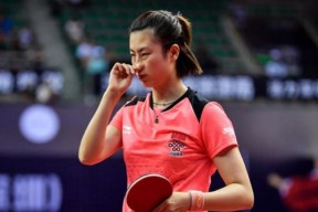 开云体育- 瑞士队预选赛成绩 